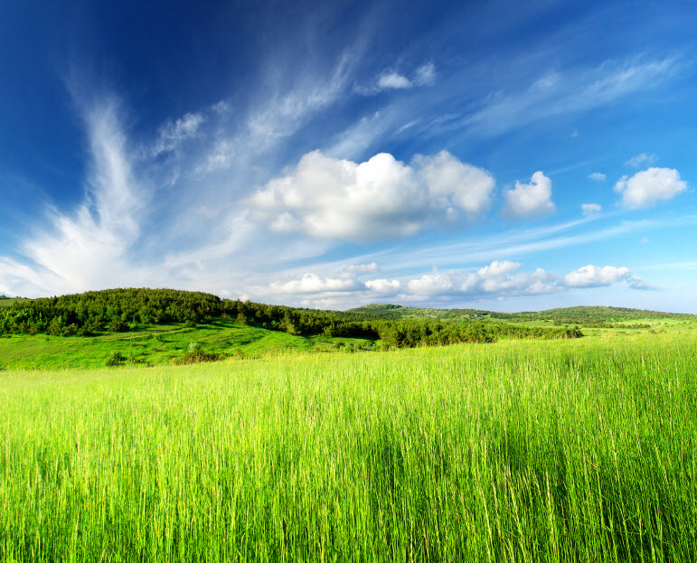 iStock_000022117487Small