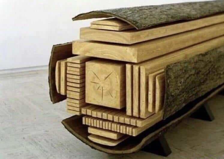 how trees are cut