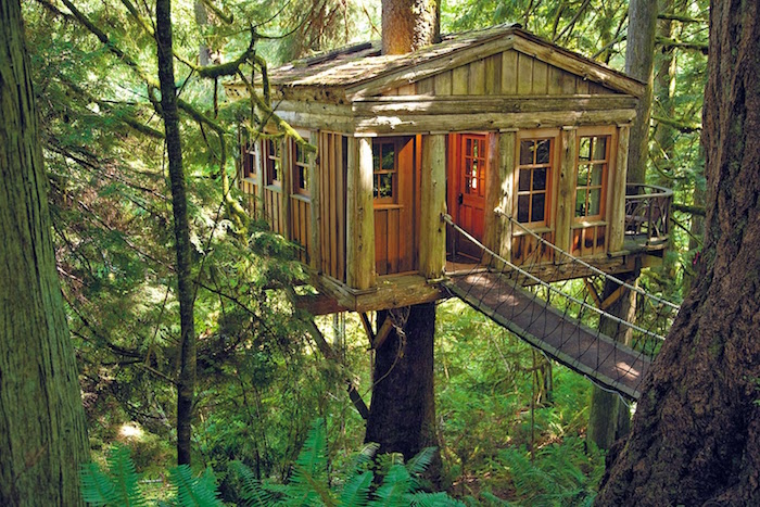 Emejing Free Semi Tree House Plan Gallery - 3D house designs ... Emejing Free Semi Tree House Plan Gallery - 3D house designs ...