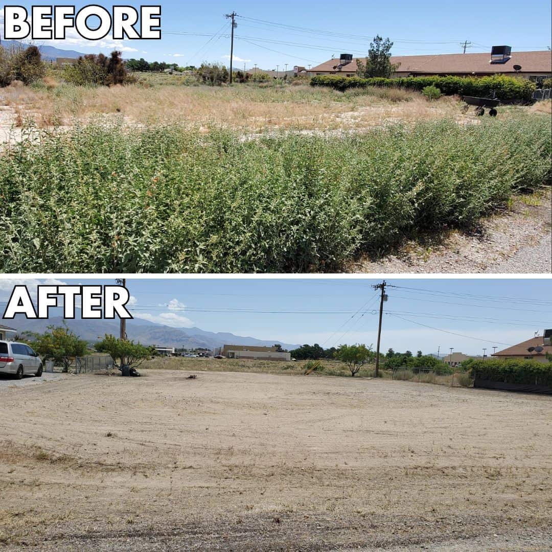 BEFORE AFTER Brush Hog