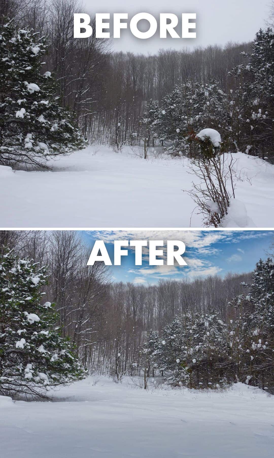 Winter Before After