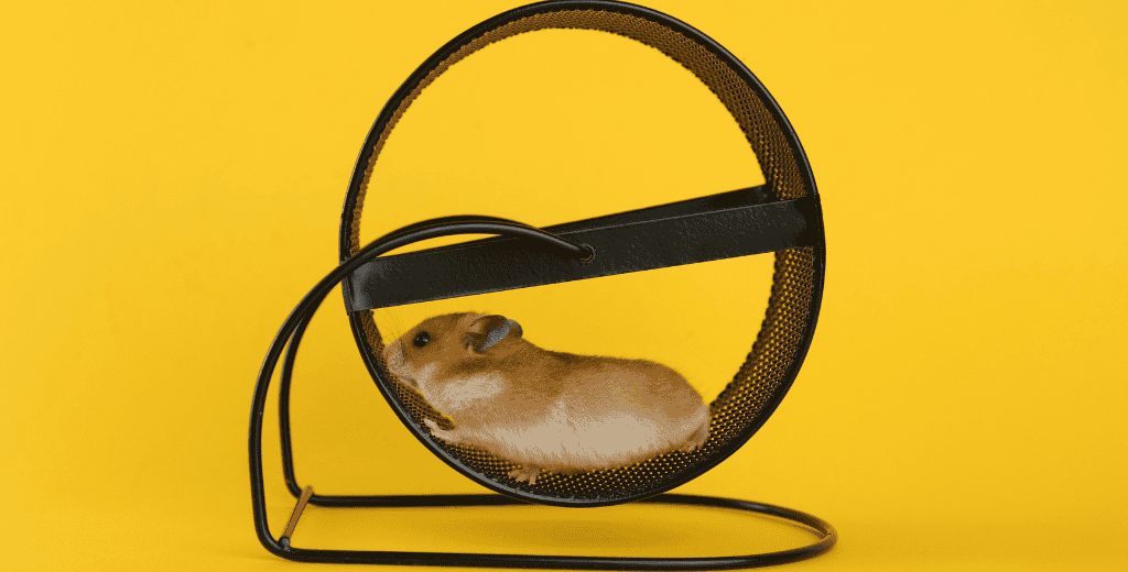 land flipping hamster wheel